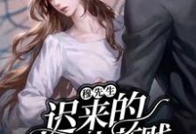 穆先生，迟来的深情比草贱小说，穆先生，迟来的深情比草贱在线阅读-艾米文学