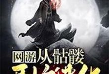 网游：从骷髅开始进化小说免费资源，网游：从骷髅开始进化在线阅读-艾米文学
