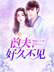 前夫，好久不见小说完结版章节免费阅读