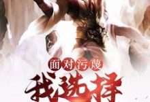 陆沉叶漓小说叫什么（面对污蔑，我选择贴脸开大免费阅读）-艾米文学