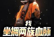 我，坐拥两族血脉，一统忍者！小说完结版章节免费阅读-艾米文学