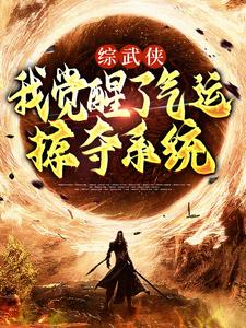 完结版《综武侠：我觉醒了气运掠夺系统》章节目录在线阅读