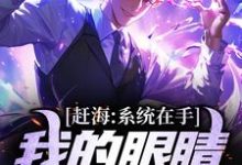 江寒小说《赶海:系统在手,我的眼睛就是尺》在线阅读-艾米文学