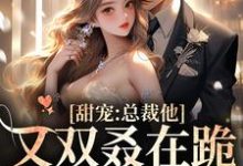 甜宠:总裁他又双叒在跪搓衣板了小说有没有完结版在线?-艾米文学