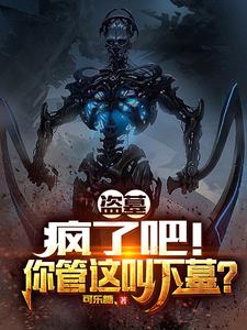 小说《盗墓：疯了吧！你管这叫下墓？》在线章节阅读