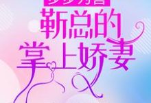 已完结小说《步步为营，靳总的掌上娇妻》章节在线阅读-艾米文学