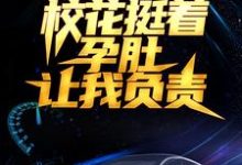 在线搜索叶辰刘伊娜的完整小说，免费阅读被分手后，校花挺着孕肚让我负责-艾米文学