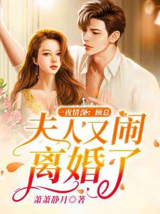 夏浅浅顾煜轩的故事在哪本书里？免费阅读一夜情深：顾总，夫人又闹离婚了