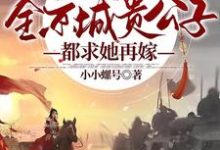 已完结小说《休夫后,全京城贵公子都求她再嫁》最新章节-艾米文学