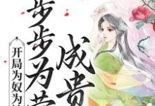 开局为奴为婢,步步为营成贵妃(陈皎霍翱)在线免费阅读-艾米文学