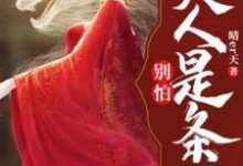 别怕！夫人是条龙小说全文阅读需要付费吗？寻找免费资源-艾米文学
