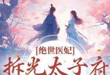 绝世医妃，拆光太子府嫁摄政王苏轻云小说在线章节目录阅读最新章节-艾米文学