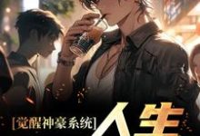 免费阅读陈豪为主角的小说，觉醒神豪系统，人生易如反掌在线看-艾米文学