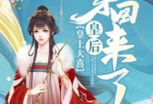 沈忆凝赫连熠沈忆乐为主角的小说叫什么?免费看皇上大喜:皇后穿回来了-艾米文学