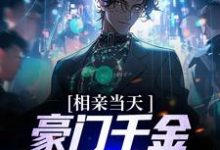 相亲当天，豪门千金拐去我领证免费阅读，相亲当天，豪门千金拐去我领证章节目录-艾米文学