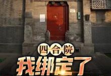 四合院:我绑定了黄金垂钓系统(程文远)在线免费阅读-艾米文学