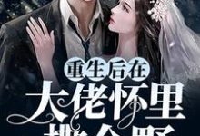 重生后在大佬怀里撒个野沈辞墨尘渊,重生后在大佬怀里撒个野章节在线阅读-艾米文学