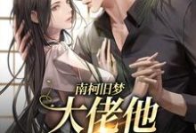 南柯旧梦:大佬他恋恋不忘这本小说怎么样?免费在线阅读试试-艾米文学