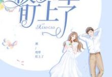 《被校草盯上了》小说主角 颜可忆陆奕凯章节章节免费在线阅读-艾米文学