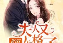 主角叫安凝夜盛霆远小说BOSS,夫人又人格分裂了章节免费阅读-艾米文学