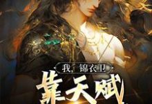 我,锦衣卫,靠天赋屡破奇案这本小说怎么样?免费在线阅读试试-艾米文学