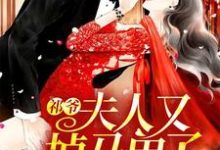 寻找能够免费阅读祁爷，夫人又掉马甲了小说的平台-艾米文学