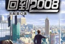 已完结小说《重启人生：回到2008》章节在线阅读-艾米文学