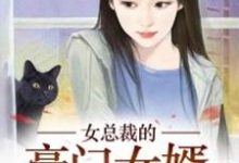 女总裁的豪门女婿杨辰林艳,女总裁的豪门女婿小说免费阅读-艾米文学