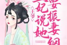 完结版《王爷，王妃说她要振妻纲》免费阅读-艾米文学