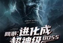 夜辰爱丽丝小说叫什么（网游：进化成超神级BOSS免费阅读）-艾米文学