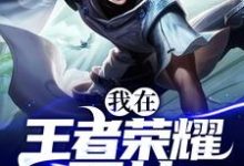 求我在王者荣耀开挂小说免费资源-艾米文学