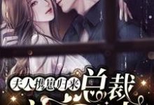 想读林不念霍祁深的故事，哪里可以免费找到夫人携崽归来，总裁夜夜追妻？-艾米文学
