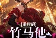 许思存段敬驰是哪本书的主角？寻找重逢后，竹马他卑微求和免费阅读-艾米文学