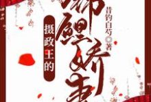 周落衡为主角的小说好看吗?免费读摄政王的锦鲤娇妻-艾米文学
