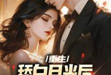 男女主人公叫林泽沐楚洛璃的小说免费资源-艾米文学