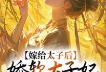 嫁给太子后,娇软太子妃藏起尖刀程婵衣小说在线章节免费阅读-艾米文学