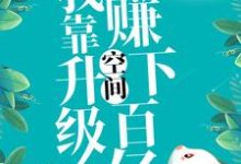 九零:我靠升级空间赚下百亿章节免费在线阅读,苏薇薇顾容时完结版-艾米文学
