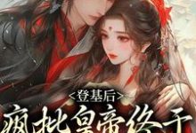 登基后,疯批皇帝终于娶到白月光小说的最新章节在哪里更新?免费追踪阅读-艾米文学
