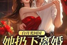 小说《白月光回国，她扔下离婚协议离开》章节免费阅读-艾米文学