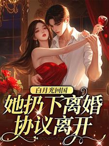 小说《白月光回国，她扔下离婚协议离开》章节免费阅读