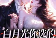 白月光你选的,现在后悔干嘛这本小说怎么样?免费在线阅读试试-艾米文学