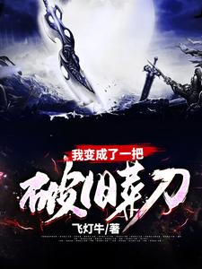 我变成了一把破旧菜刀苏木小说在线章节免费阅读
