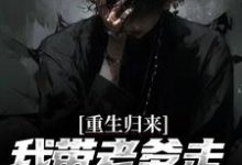 在线寻找重生归来，我带老爹走上人生巅峰小说的无删减版本-艾米文学