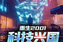 苏武的完整故事在哪里？读重生2001：科技兴国，势在必得小说-艾米文学