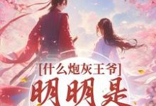 完结版《什么炮灰王爷，明明是移动金库》章节阅读-艾米文学