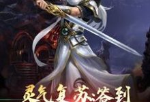龙长风安妙依小说《灵气复苏:签到神话关系户》在线阅读-艾米文学