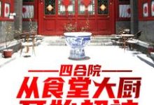 已完结小说《四合院:从食堂大厨开始超神》章节在线阅读-艾米文学