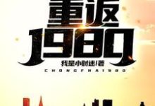 重返1980郭刚刘晓园小说在线章节免费阅读-艾米文学