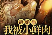 免费看离婚后,我被小鲜肉们围满了小说的网站有哪些?-艾米文学