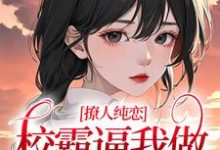 黎幸楼崇是哪本书的主角？撩人纯恋：校霸逼我做协议情侣免费读-艾米文学